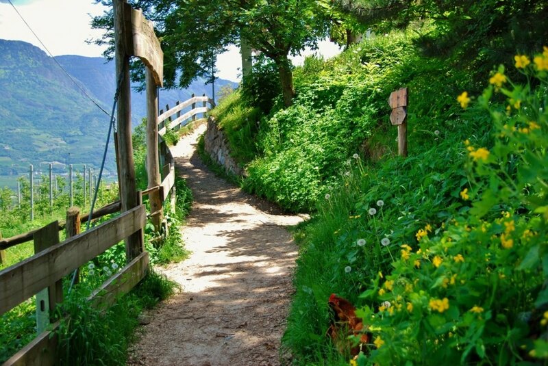 Dirt Path in Mountains