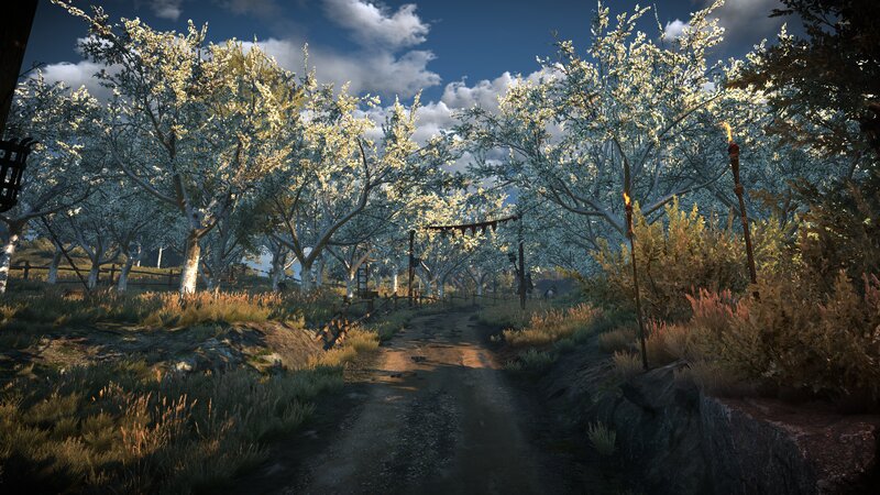 Dirt Path in Orchard — Blue