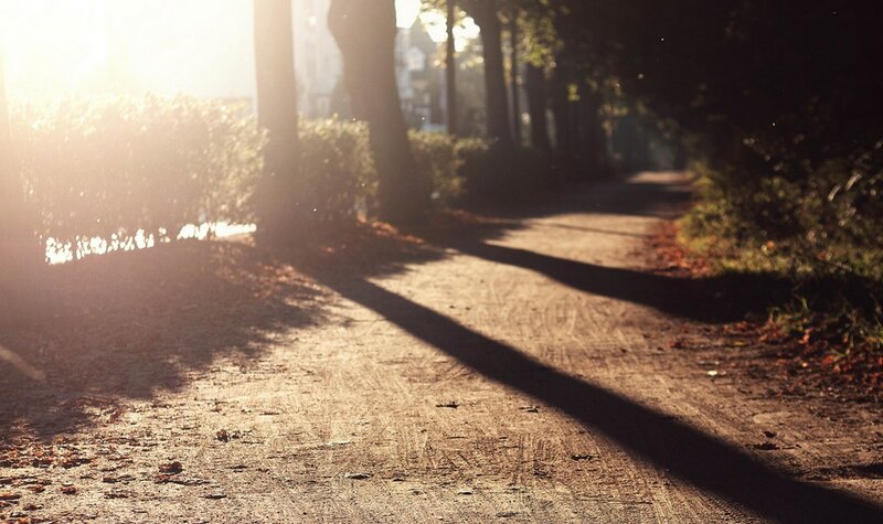 Dirt Path in Park — Brown