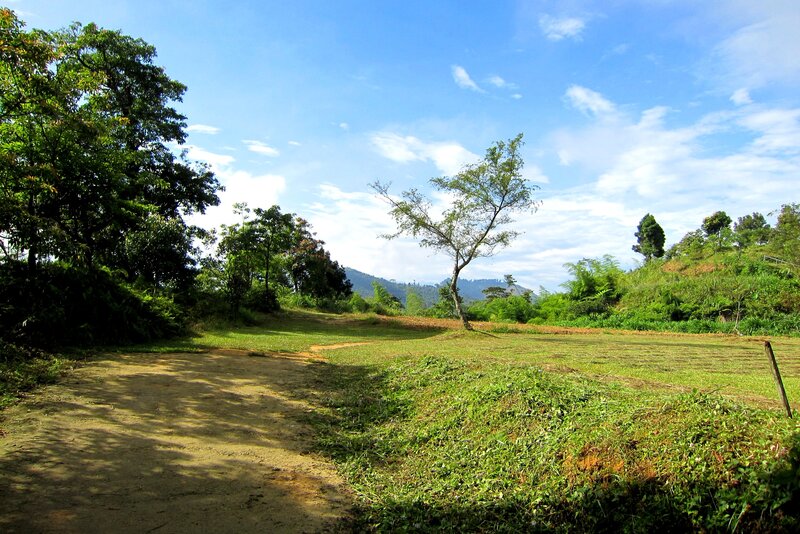 Dirt Path in Rural Landscape