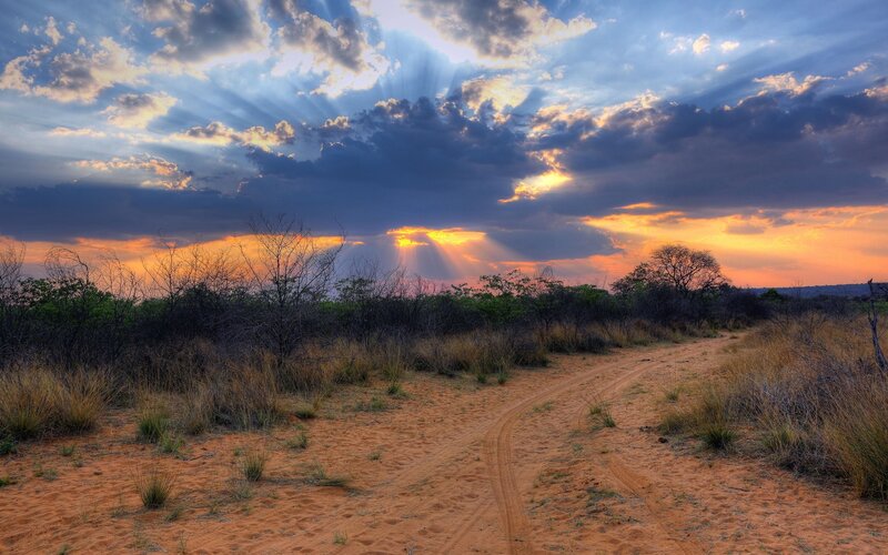 Dirt Path in Savanna — Orange