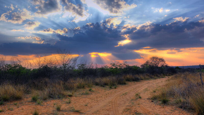 Dirt Path in Savanna