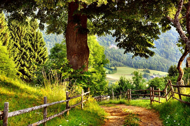 Dirt Path in Valley — Green, Serene, Afternoon