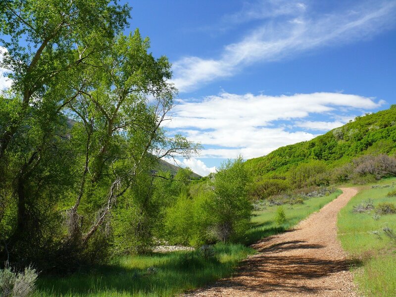 Dirt Path in Valley — Green