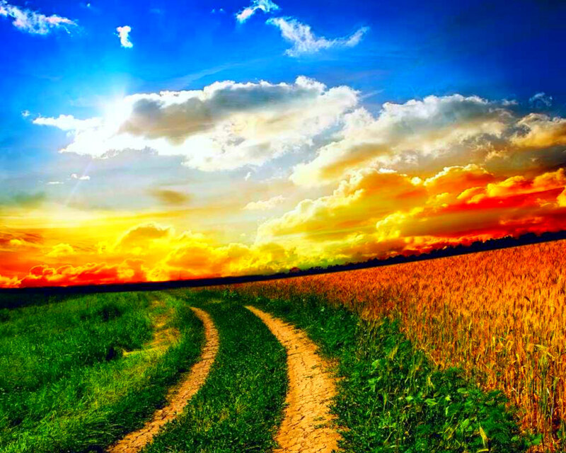 Dirt Path in Wheat Field — Blue
