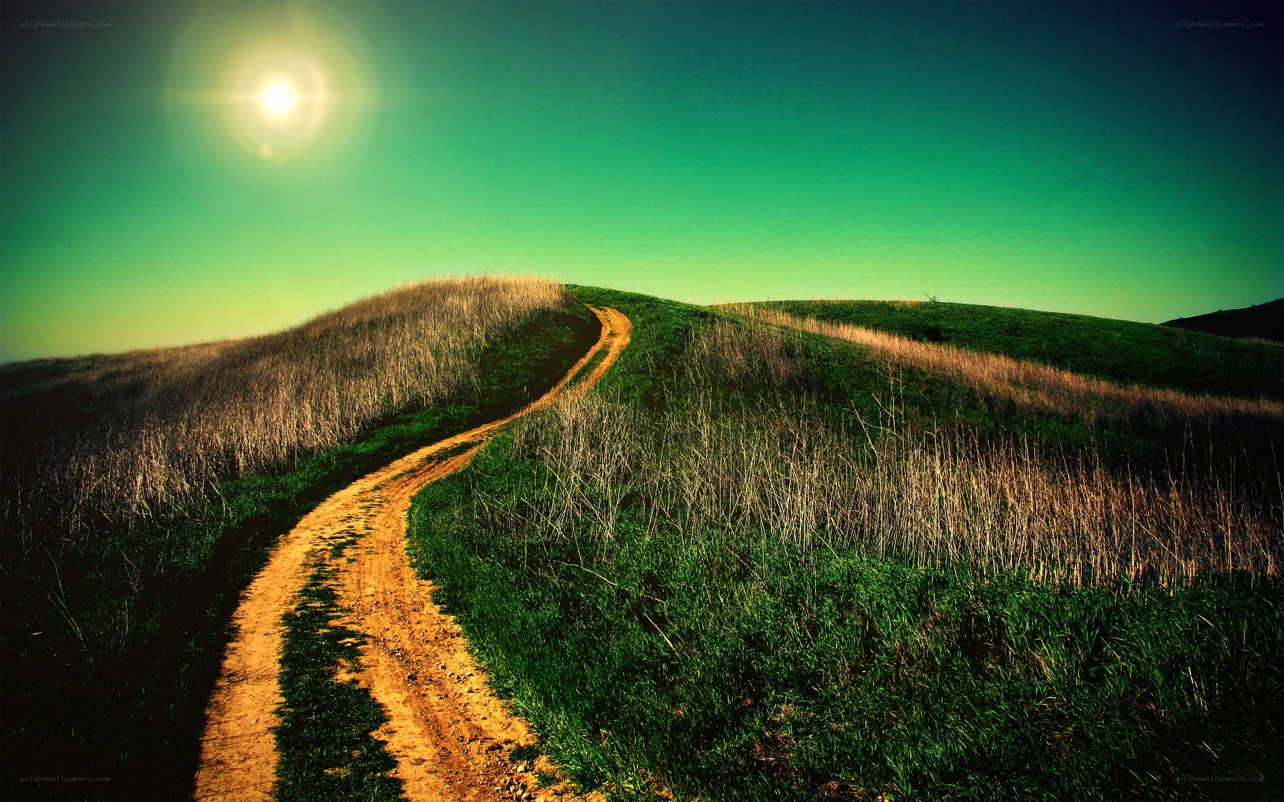 Dirt path on a sunny hill