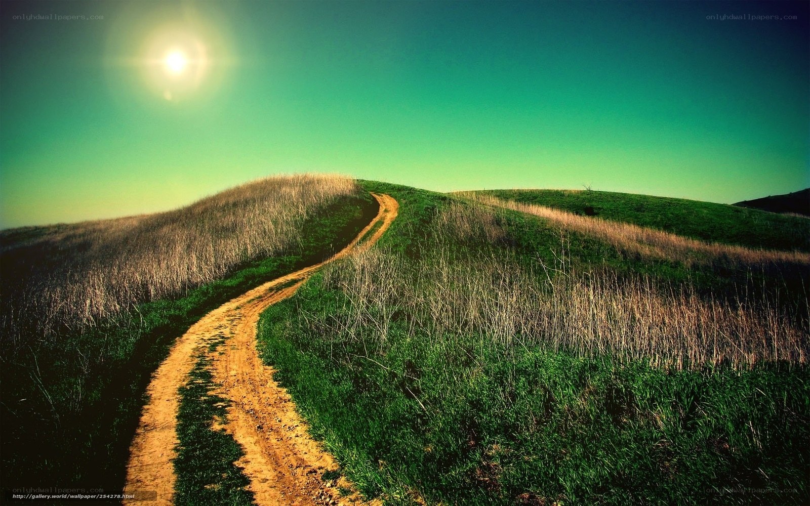 Dirt path on a sunny hill