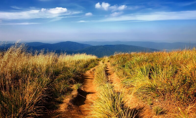 Dirt Path on Grassy Hill — Blue