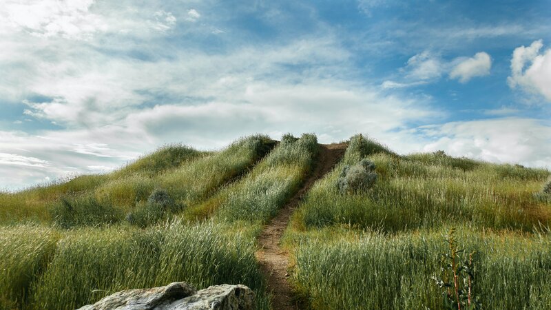 Dirt Path on Grassy Hill