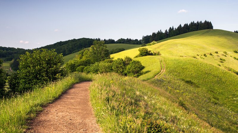 Dirt Path on Green Hills — Serene