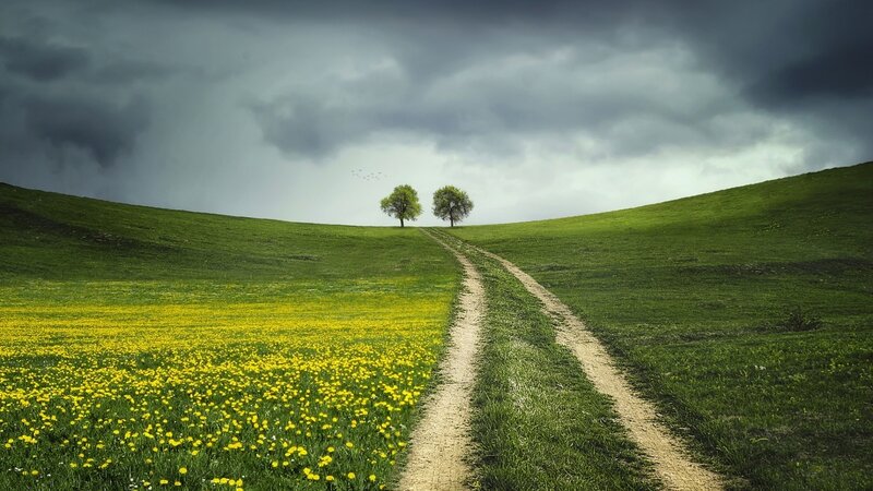 Dirt Path on Hill