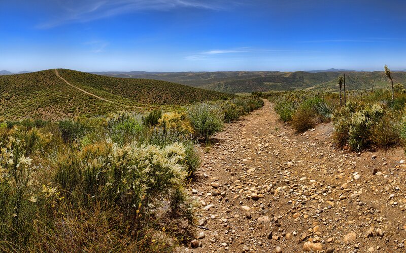 Dirt Path on Hillside — Blue, Serene