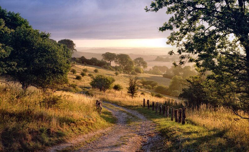 Dirt Path on Hillside — Green, Serene, Sunrise