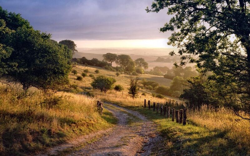 Dirt Path on Hillside — Green, Serene, Sunset