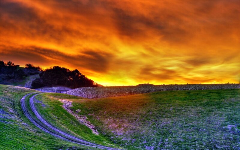 Dirt Path on Hillside — Orange