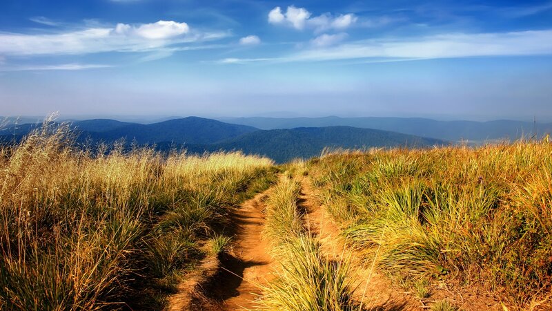 Dirt Path on Hilltop