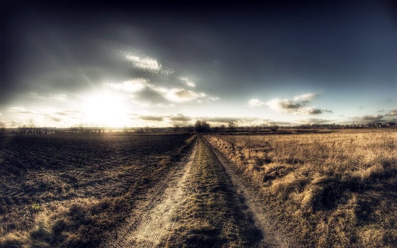 Dirt path through a field at sunset