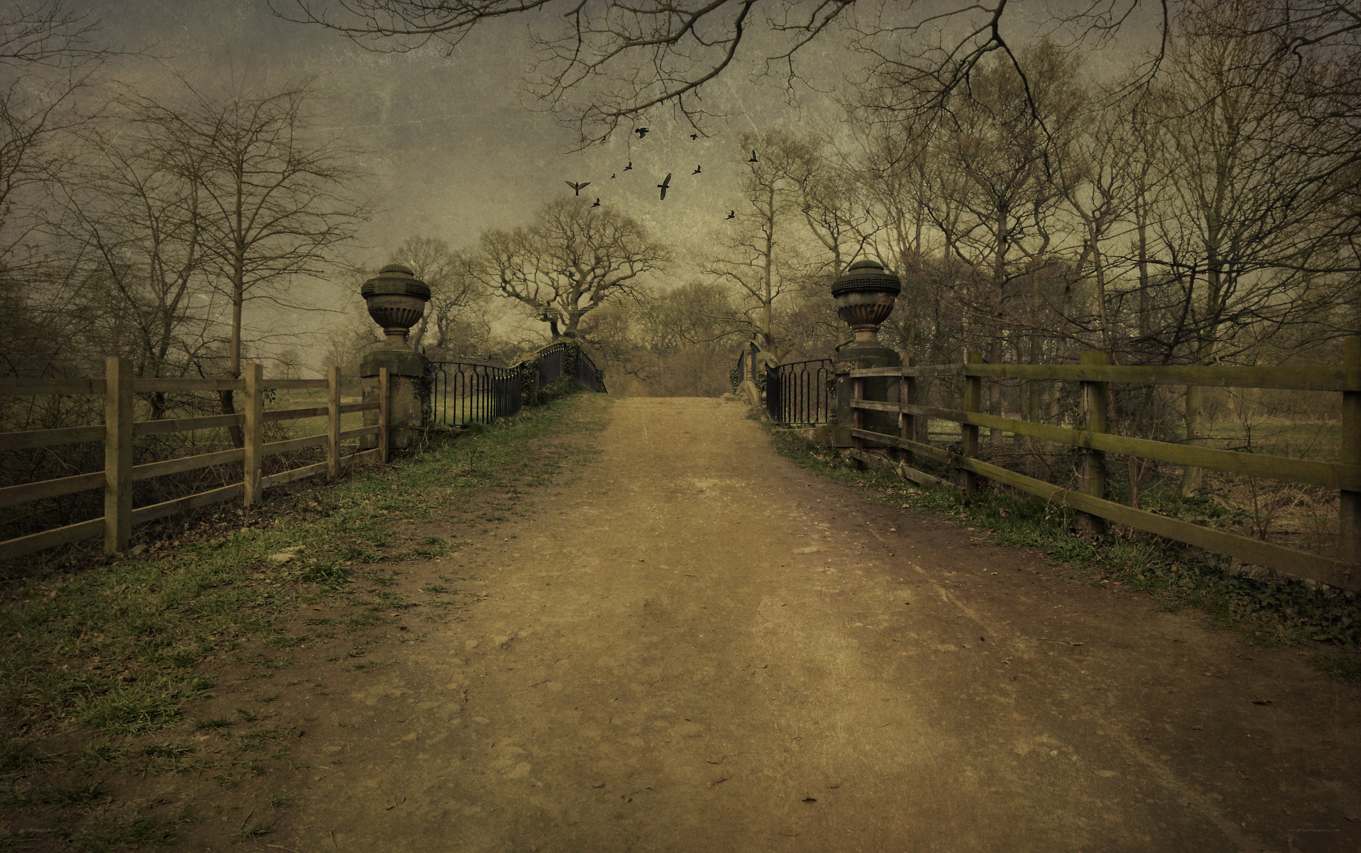 Dirt path through a gloomy park