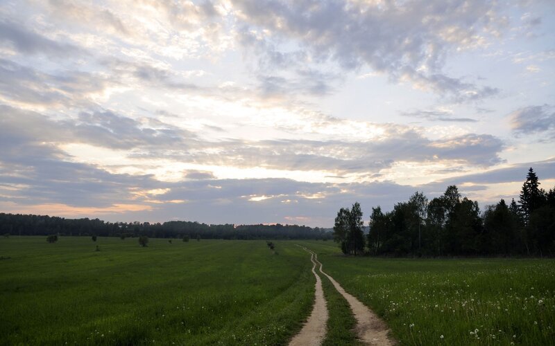 Dirt path through a green field