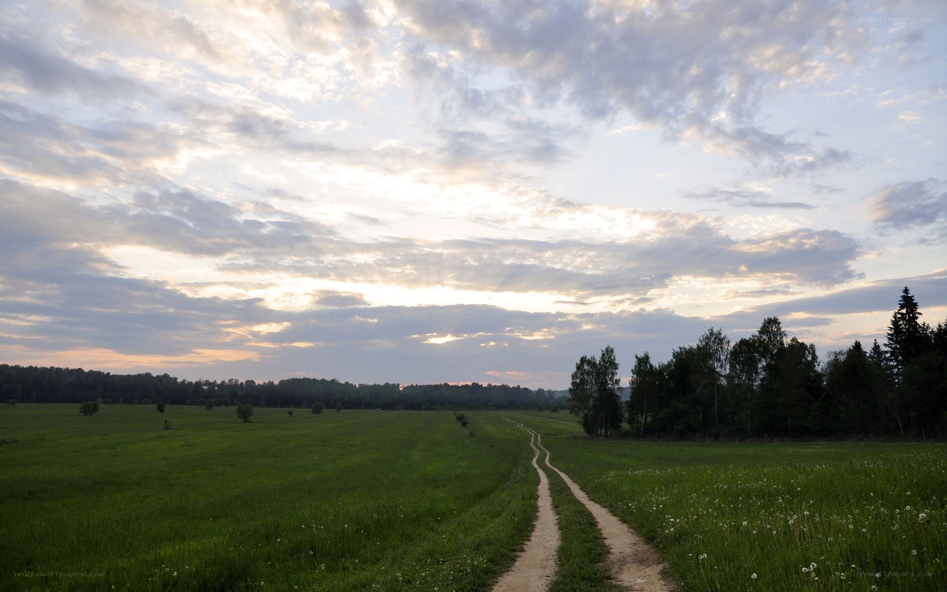 Dirt path through a green field