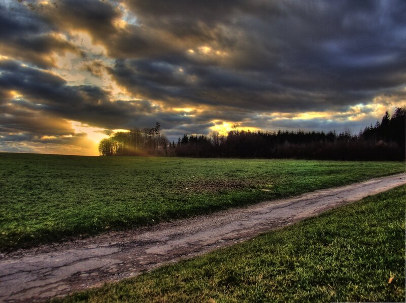 Dirt path through a green field