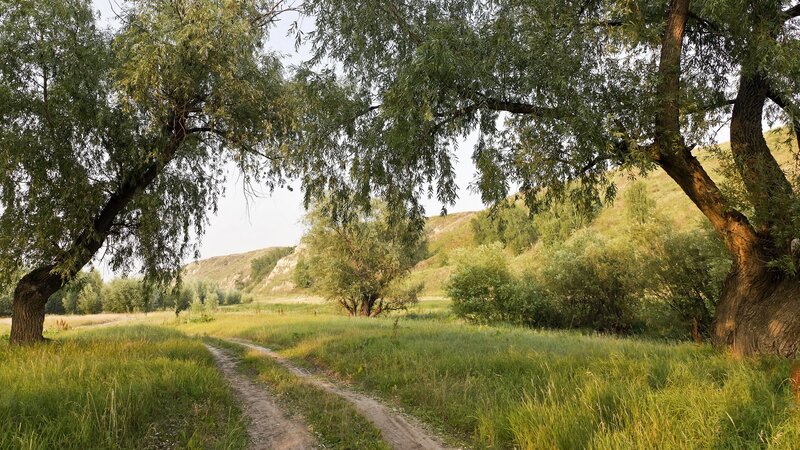 Dirt path through a green valley