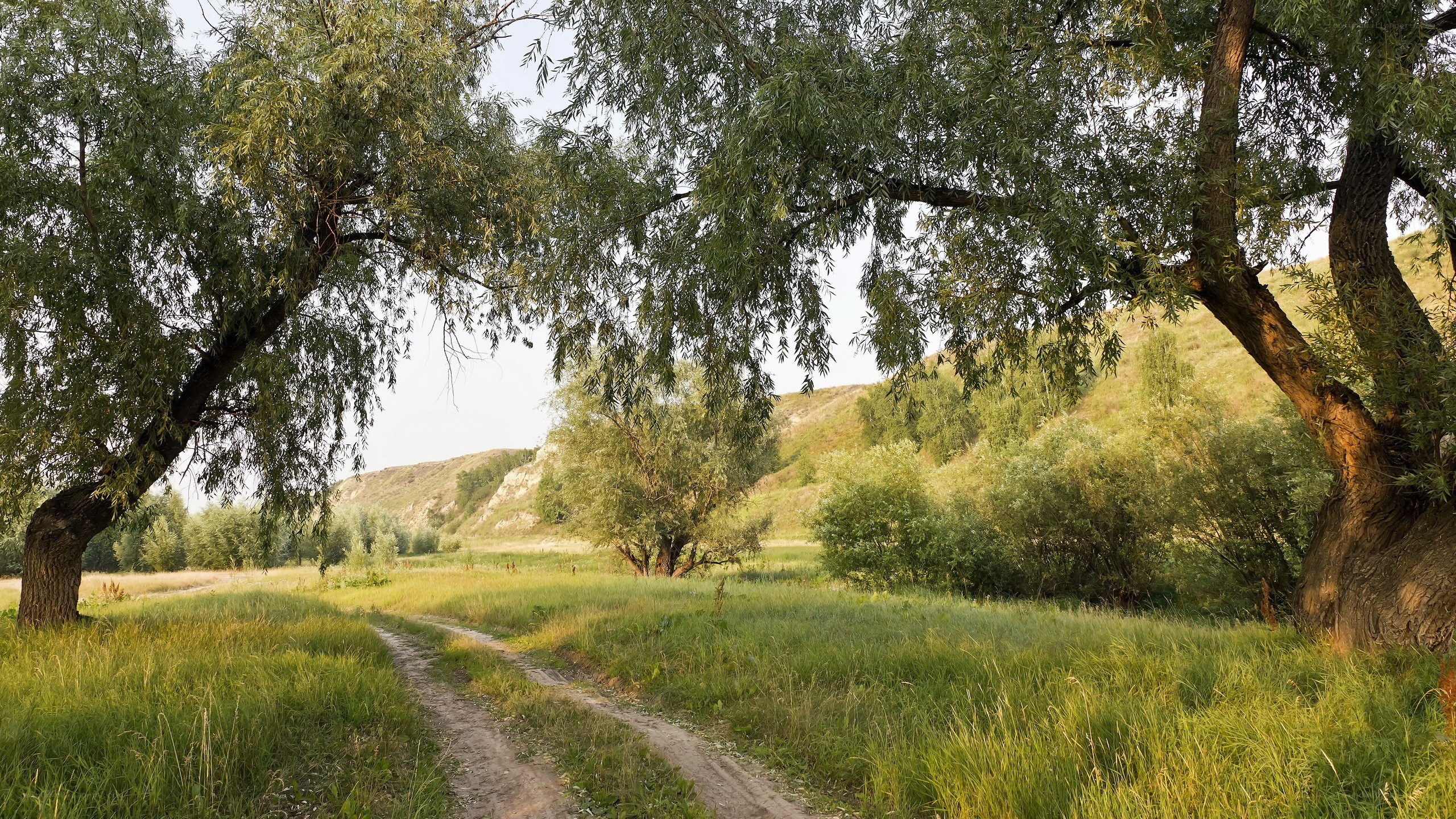 Dirt path through a green valley