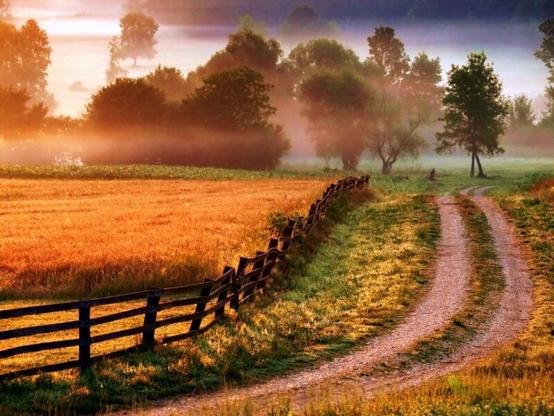 Dirt path through a misty field
