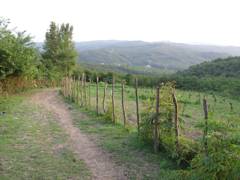 Dirt path through a rural landscape