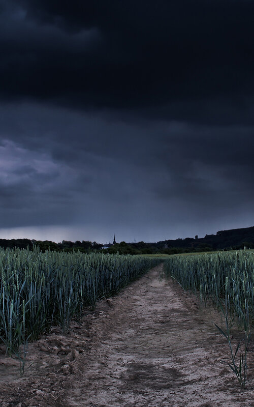 Dirt path through a stormy field