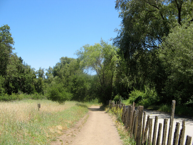 Dirt path through a sunny park
