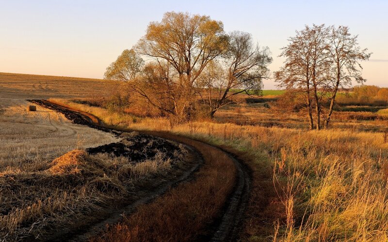 Dirt path through autumn fields
