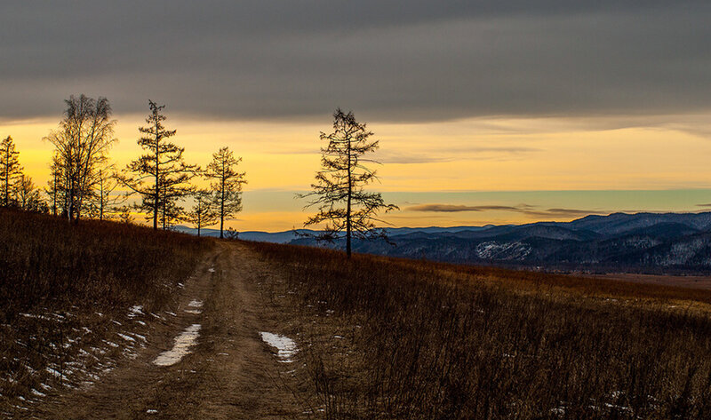 Dirt Path Through Field — Brown