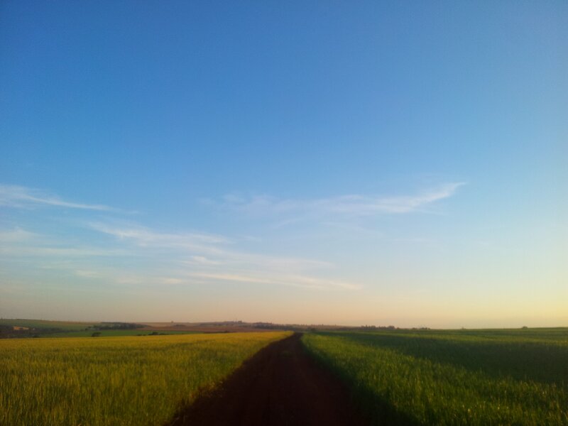 Dirt path through fields at sunset