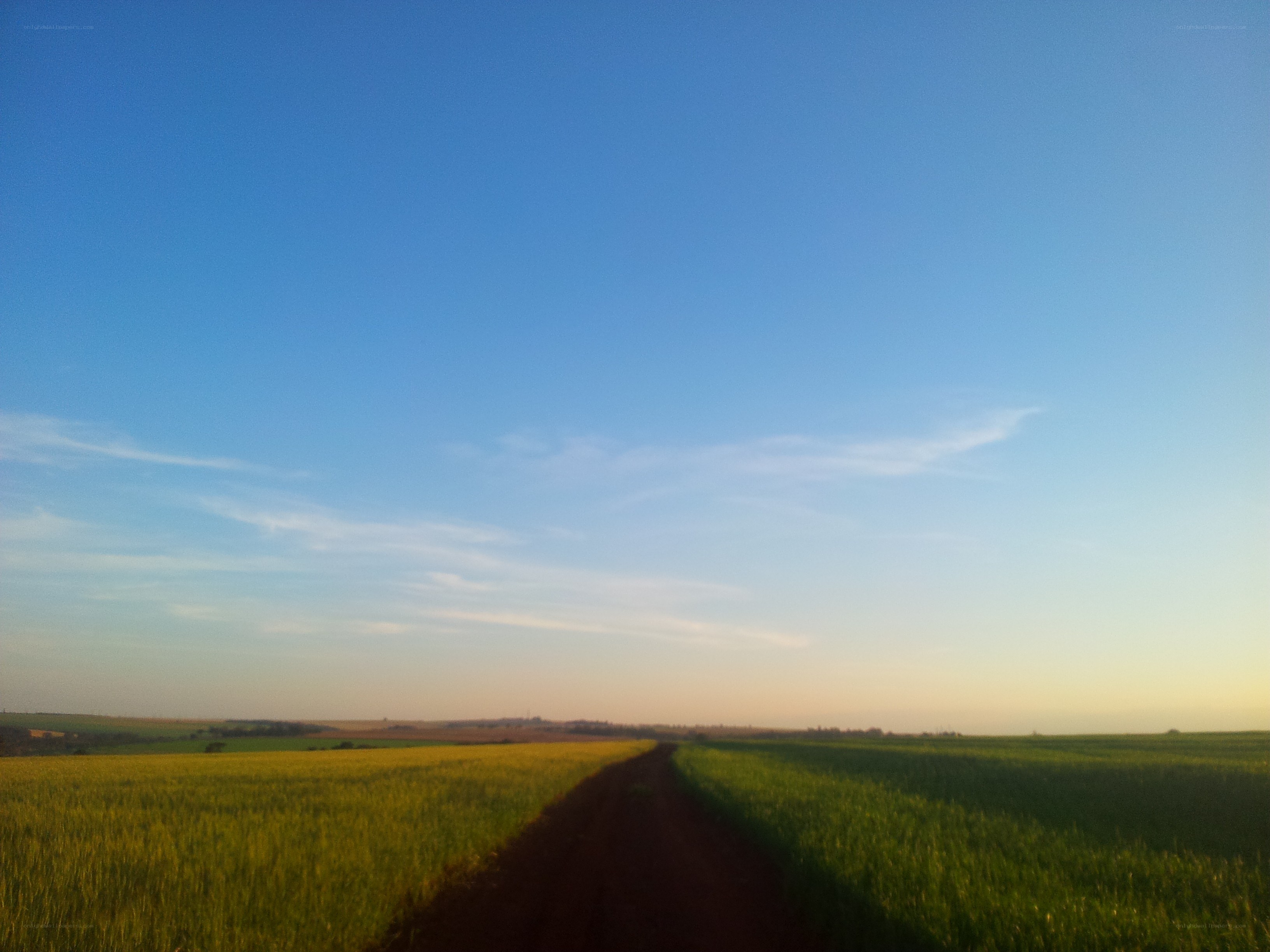 Dirt path through fields at sunset