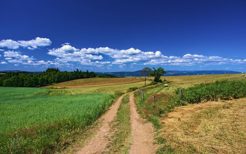 Dirt Path Through Fields — Blue, Serene, Afternoon
