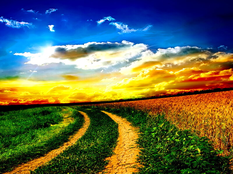 Dirt Path Through Fields — Blue