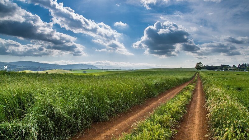 Dirt Path Through Fields — Green, Serene, Afternoon, Photograph, Clouds