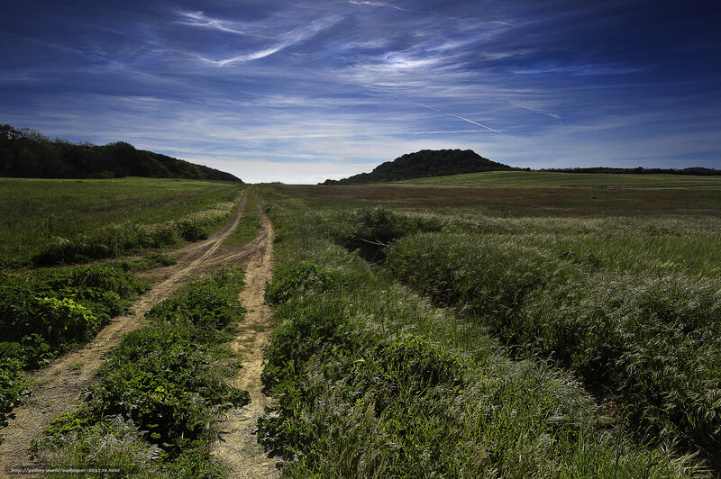 Dirt Path Through Fields — Green, Serene, Afternoon, Photograph, Hills