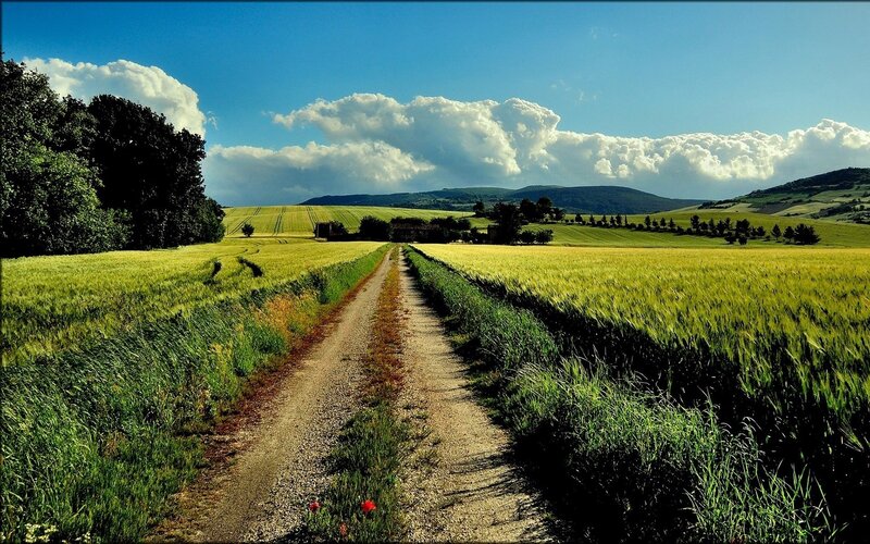Dirt Path Through Fields — Green, Serene, Afternoon, Photograph, Trees, Clouds, Hills