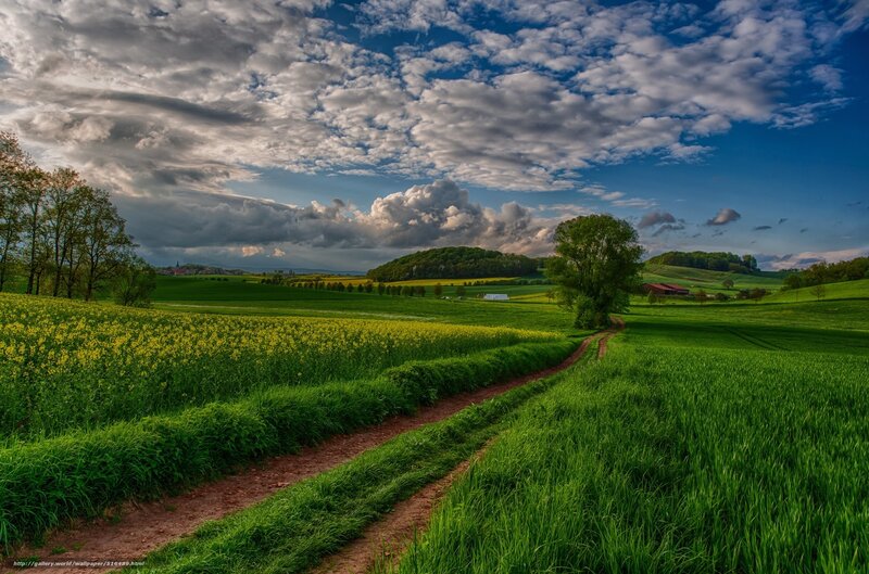 Dirt Path Through Fields — Green, Serene, Afternoon, Photograph, Trees, Clouds
