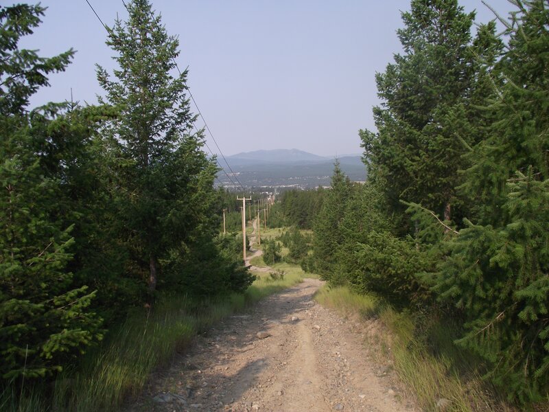 Dirt path through forested hillside