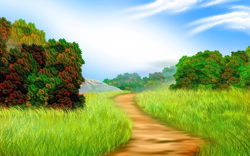 Dirt Path Through Grass — Green, Serene, Afternoon