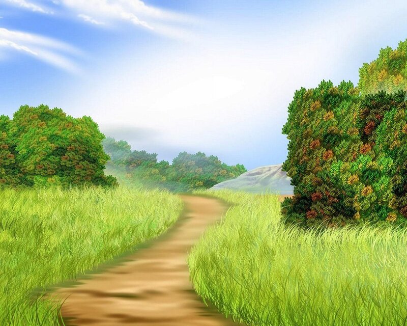 Dirt Path Through Grass — Green