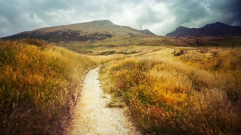 Dirt Path Through Grassland — Yellow
