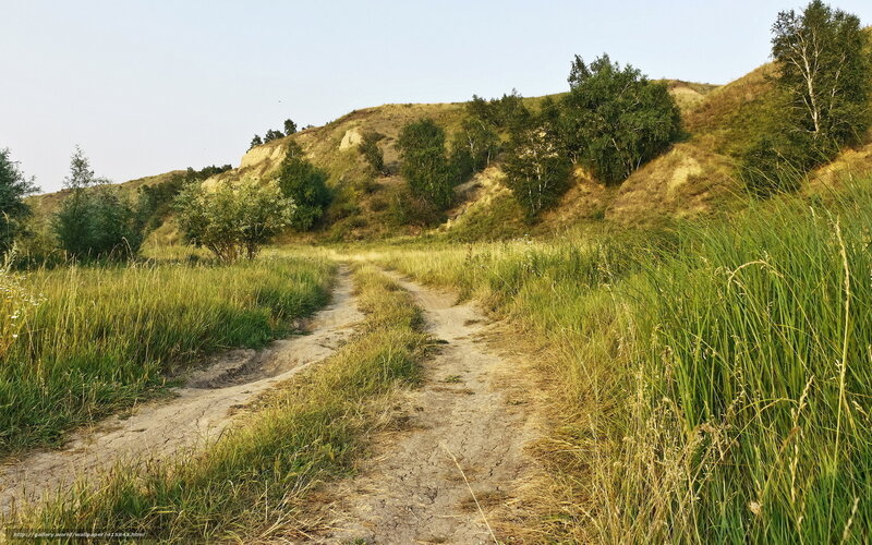 Dirt path through grassy hills