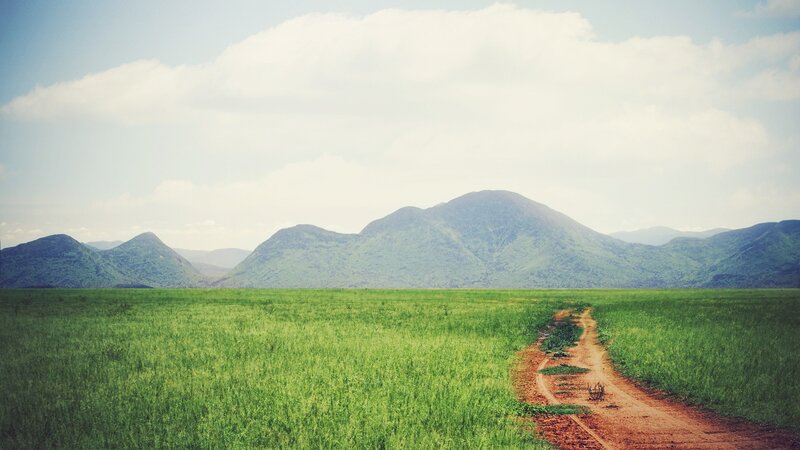 dirt path through green field