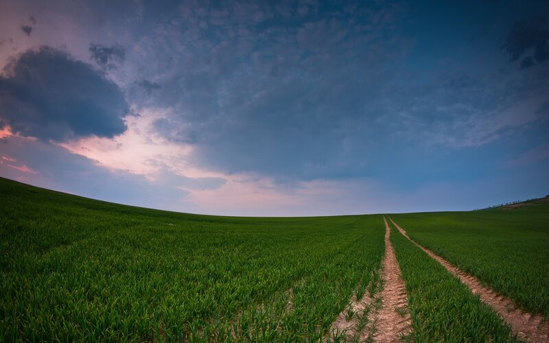Dirt path through green field