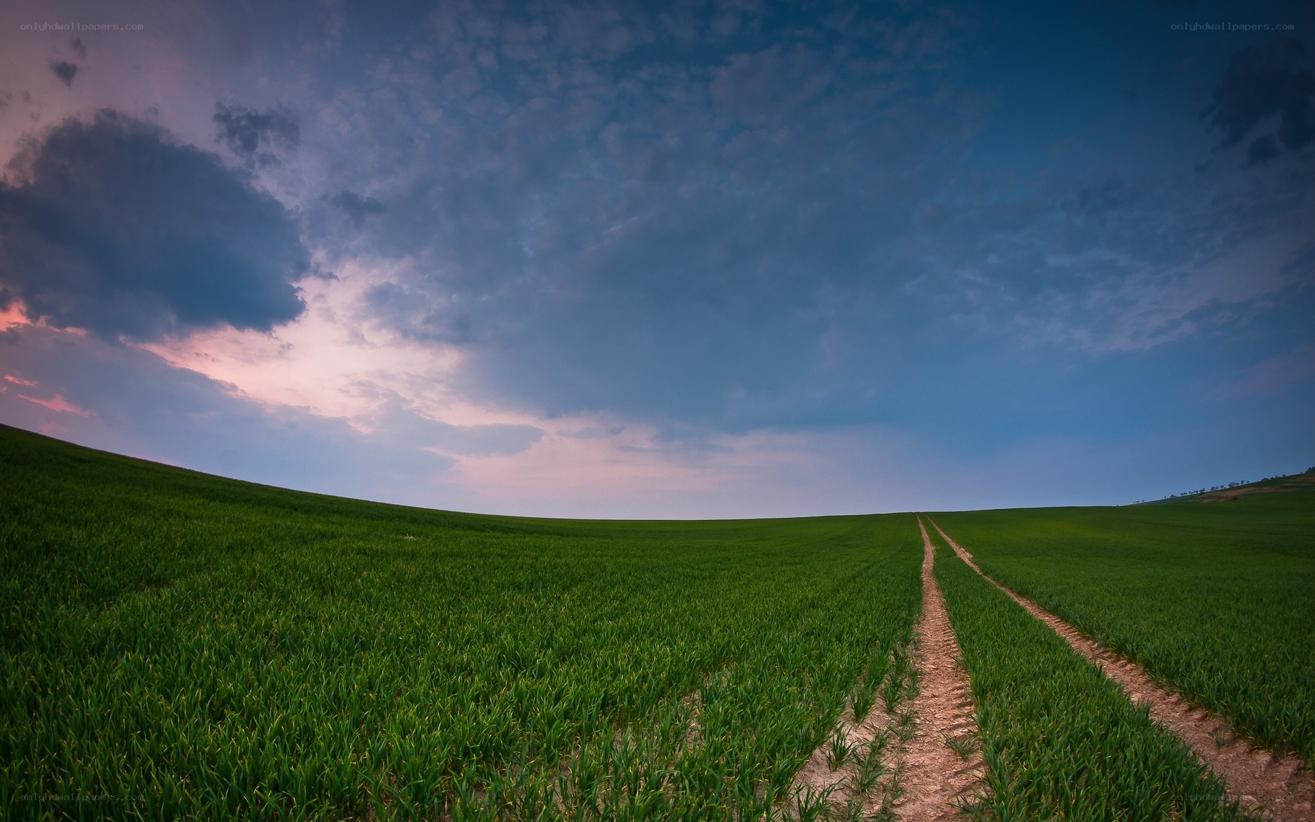 Dirt path through green field
