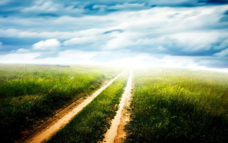 Dirt path through green fields